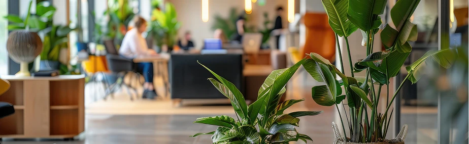 neuroGrid office with plants in the foreground