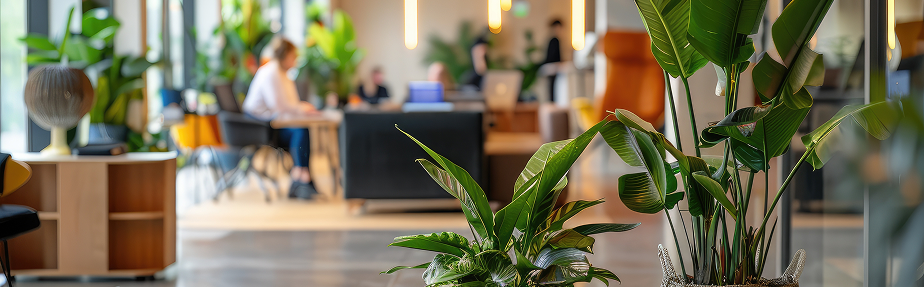 neuroGrid office environment